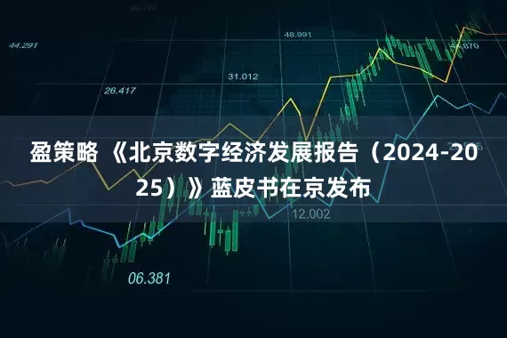 盈策略 《北京数字经济发展报告（2024-2025）》蓝皮书在京发布