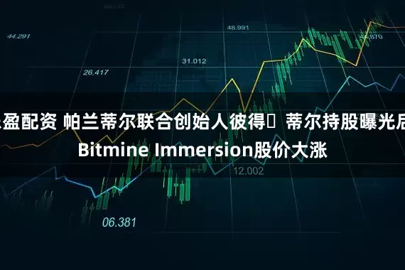乐盈配资 帕兰蒂尔联合创始人彼得・蒂尔持股曝光后,Bitmine Immersion股价大涨